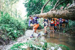 BIB: 
                            <button type="button" onclick="openModal(25472818)" class="btn btn-primary btn-sm float-right btn-popup" data-toggle="modal" data-target=".modal-high-quality">
                        <i class="fas fa-shopping-cart"></i> Add to Cart
                    </button>
                                            <button type="button" onclick="isThisMe(25472818, true)" class="btn btn-success btn-sm float-right btn-popup btn-isme hidden" data-toggle="tooltip" data-placement="bottom" title="นี่คือรูปของคุณใช่ไหม คลิกที่นี่เพื่อเอาเข้าอัลบั้ม">
                        <i class="fas fa-plus"></i> Add to album
                    </button>
                    <button type="button" onclick="isThisMe(25472818, false)" class="btn btn-warning btn-sm float-right btn-popup btn-isnotme hidden">
                        <i class="fas fa-ban"></i> Remove from album
                    </button>